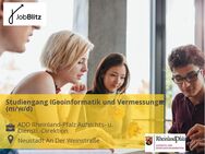 Studiengang Geoinformatik und Vermessung (m/w/d) - Neustadt (Weinstraße)