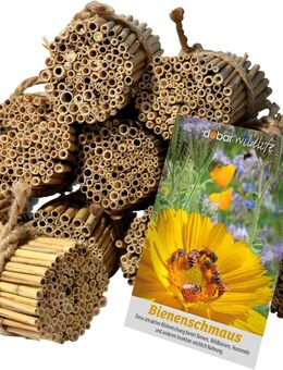 Dobar Schilfrohrhalme-Set 1.000 STK Insektenhotel Bastelset - Birkenfeld (Baden-Württemberg)