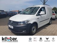 VW Caddy, Kasten Elektrik-Paket 5xAssi, Jahr 2017 - Grimma