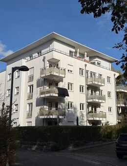 Prima Kapitalanlage mit großem Garten in Freiburg-Vauban - Freiburg (Breisgau)