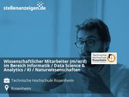 Wissenschaftlicher Mitarbeiter (m/w/d) im Bereich Informatik / Data Science & Analytics / KI / Naturwissenschaften - Rosenheim