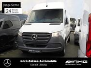 Mercedes Sprinter, 317 L2H2 MBUX Holzboden, Jahr 2023 - Heide