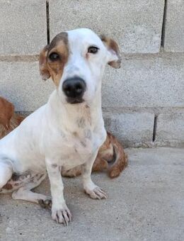 Juna ist liebenswert und unkompliziert - Tübingen