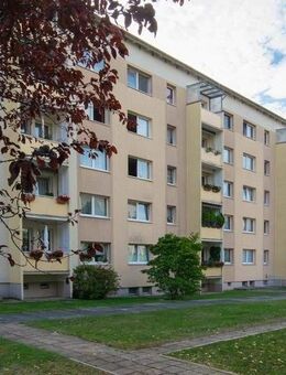 3 Zimmer in Möckern - Leipzig