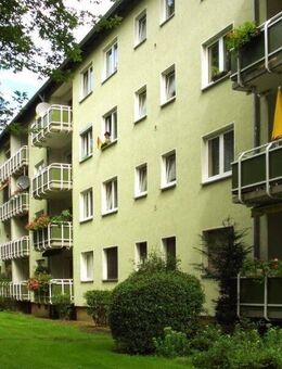 Schöne 3-Zimmer Wohnung sucht Nachmieter! - Frankfurt (Main)