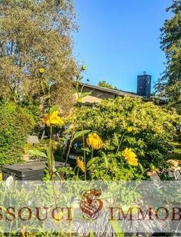 Einfamilienhaus im Bungalowstil mit Potential! - Fredersdorf-Vogelsdorf