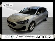 Ford Focus, 1.0 Cool&Connect, Jahr 2022 - Bad Berleburg