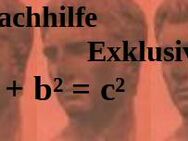 Exklusiv-Nachhilfe für Mathematik und Latein - Gifhorn