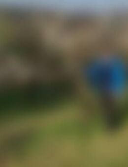 Mor*** - Korbach (Hansestadt)