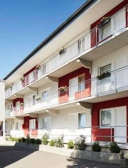 Achtung Studenten!!! 1-Zimmer-Studentenappartement unmittelbar gegenüber der FH Fulda (MUSTERWOHNUNG) - Fulda