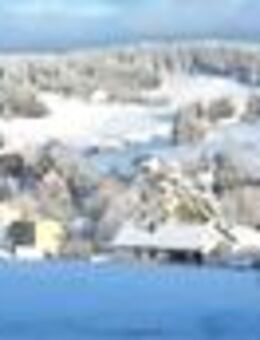 Gemütliches 1-Zi Appartement auch zur Langzeitmiete geeignet - Schönwald (Schwarzwald)