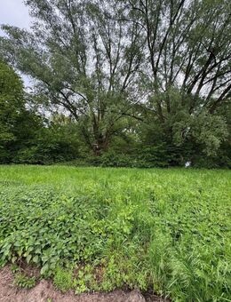 “Einzigartige Gelegenheit: Ruhe und Natur pur:Wohnen am See:130qm Wohnfläche.Traumhaftes Grundstück 50056m² - Paderborn