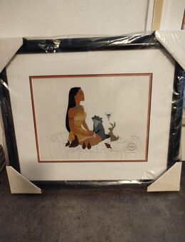 Original Disney Pocahontas Bild - Limited Edition - Fahrenzhausen