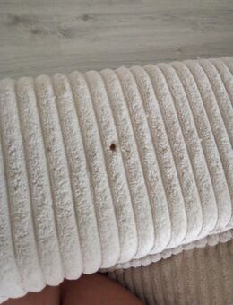 Sofa Sitzgarnituren - Bad Friedrichshall