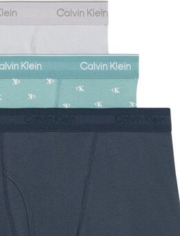 Calvin Klein Underwear Trunk TRUNK 3PK (Packung, 3er-Pack) mit Logo-Elastikbund