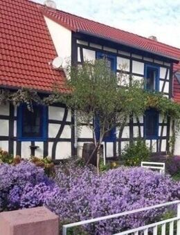 Freundliches Einfamilienhaus mit Platz für die ganze Familie - Winden (Landkreis Germersheim)