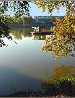 Charmantes großes Haus aus den 50-ern in bester ruhiger Lage der Aaseestadt, modernisiert, hell und modern, Freistellung durch die Erbengemeinschaft ! - Münster