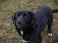 SHADOW - gemeinsam starten, viel erleben - Overath
