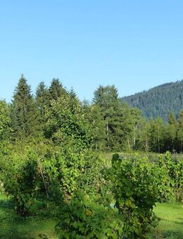 Wohnen wie in einer Doppelhaushälfte mit eigenem Garten in idyllischer Naturrandlage! - Inzell