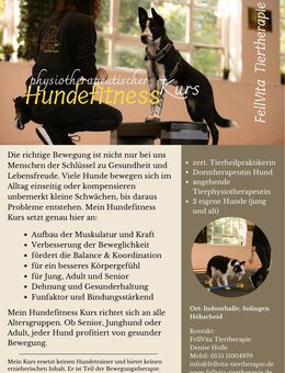 Hundefitness Kurs - Solingen (Klingenstadt)