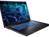 CAPTIVA Power Starter I76-095 Business-Notebook (43,94 cm/17,3 Zoll, Intel Core i7 1255U, 2000 GB SSD)