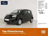 Fiat Panda, 1.0 GSE Hybrid, Jahr 2024 - Pilsach