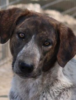 Naxos, geb. ca. 07/2020 Griechenland - Euskirchen