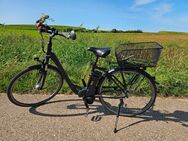 Damen E-Bike - Wertingen