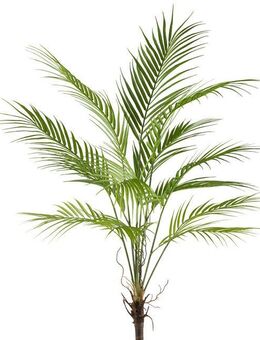 Kunstpalme Arecapalme, Creativ green, Höhe 95 cm, mit zahlreichen Palmwedeln