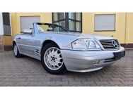 Mercedes-Benz SL 500 Cabrio Hardtop Leder Klima Shzg Radio Xen - Friedrichsdorf