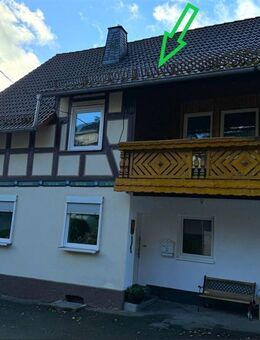 Gut sanierte Doppelhaushälfte für Mehrgenerationen in Vöhl-Thalitter! - Vöhl