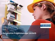 Automotive Projektmanager (m/w/d) - Erkner