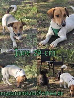 Jure ist ein lustiger kleiner Wirbelwind - Schafflund