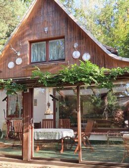 Gepflegtes Einfamilienhaus mit großer Garage - Hitzacker (Elbe)