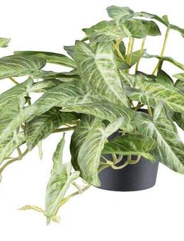 Kunstpflanze Alocasia, Creativ green, Höhe 40 cm, mit naturgetreuem Blattwerk