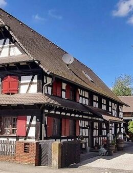 Beeindruckendes Anwesen in Rheinau - Rheinau