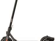 Segway E-Scooter KickScooter F20D, 20 km/h, Electric Scooter, mit Straßenzulassung, bis zu 20 km Reichweite