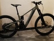 E-Bike Propain EKANO AL 2 Gr. M - Ulm