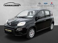 Fiat Panda, 1.0 Base Mild Hybrid el SP Spieg beheizbar teilb Rücksb, Jahr 2023 - Bremerhaven