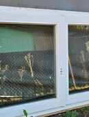 4 Fenster Kunststoff weiß in 89180