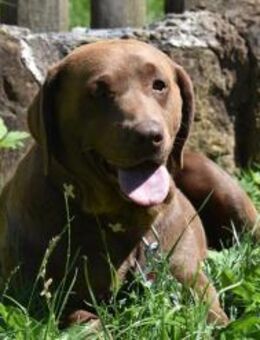 EMMA & EMILIA - Donzdorf