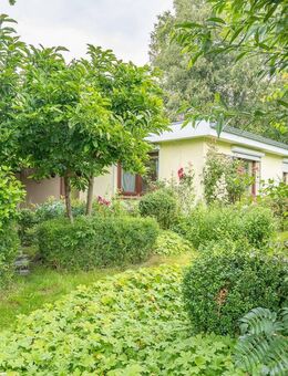 Freiraum für Ihre Ideen - Bungalow auf großem Grundstück in ruhiger Lage - Drochtersen