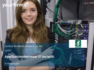 Applikationsbetreuer IT (m/w/d) - Metzingen