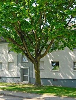 2-Zimmer-Wohnung in Essen Frohnhausen - Essen