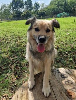 NERO - das wird eine tolle Zeit werden - Overath