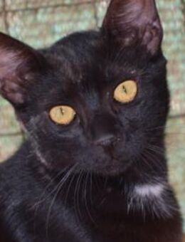 Bruno sucht engen Familienanschluss - Neuss