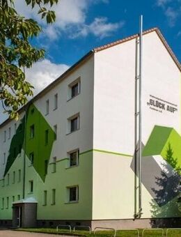 charmante 3 Raumwohnung sucht neue Mieter - Oederan