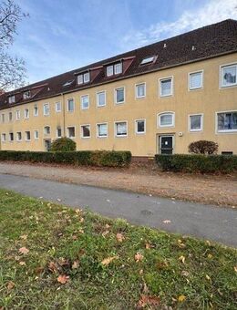 Hinein ins helle Heim! - Braunschweig