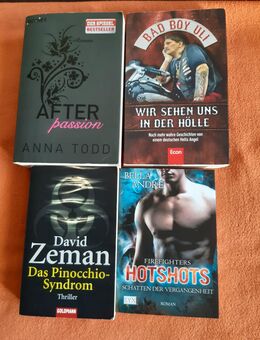 Bücher Konvolut 3................................. - Zeitz