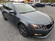 Skoda Octavia, 2.0 TDI Soleil PDCvo hi Ambiente Lane Entry Business-Paket, Jahr 2020 - Boxberg (Baden-Württemberg)